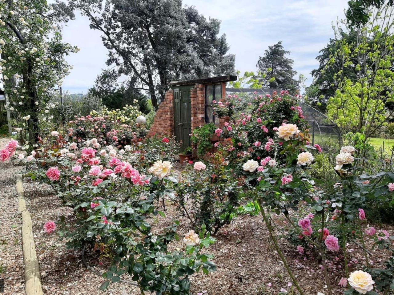 Ama Casa Cottages Champagne Valley Exterior foto